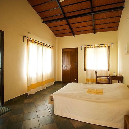 Wild Haven Hotel Масинагуди Екстериор снимка